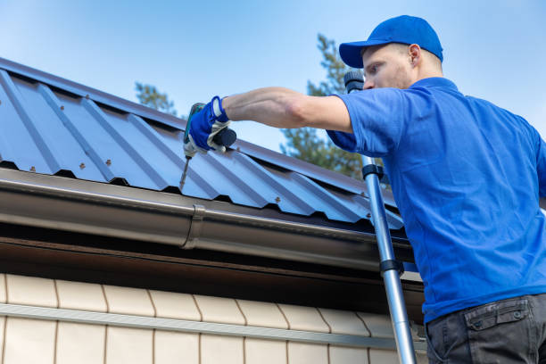 Best Roof Insulation Installation  in Chinook, MT