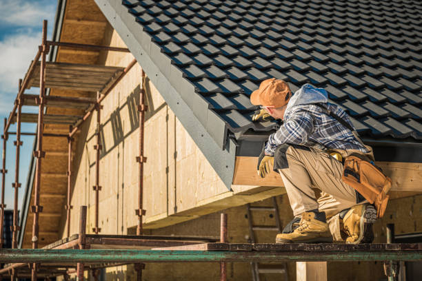 Best Roof Moss and Algae Removal  in Chinook, MT